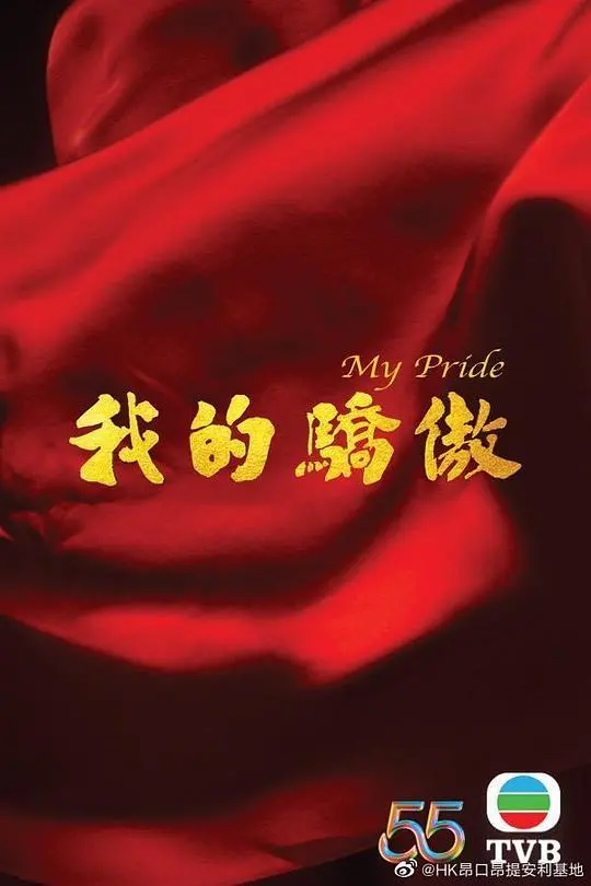 《我的骄傲（国语）》：跨越时空的爱恋，一段青春的勇气与成长