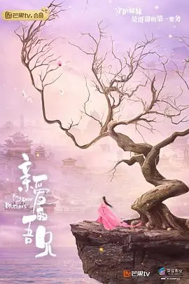 《亲爱的吾兄》：傲娇哥哥的宠妹狂魔之路，搞笑与温情齐飞的古装轻喜剧！